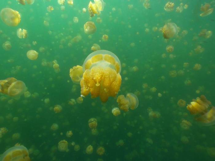 6. Croatia – Katarina Gras – Into Infinity.jpg